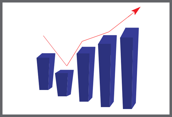 Investment Details