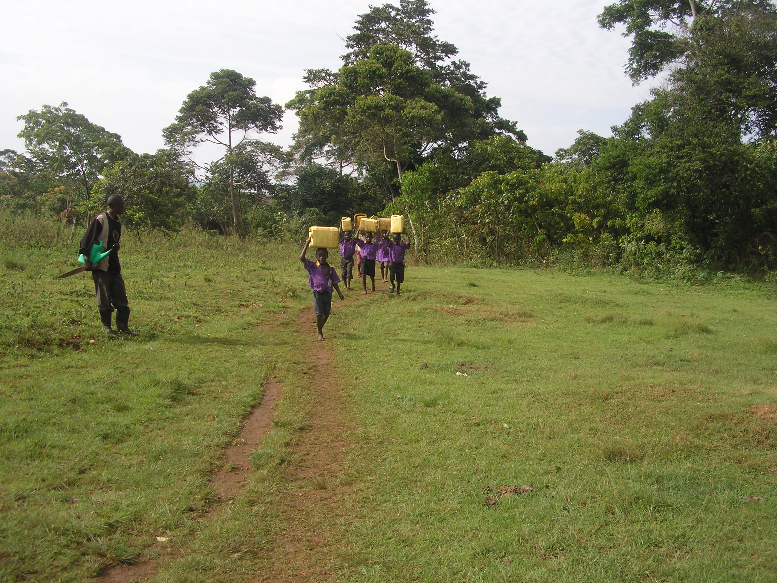 Kawede