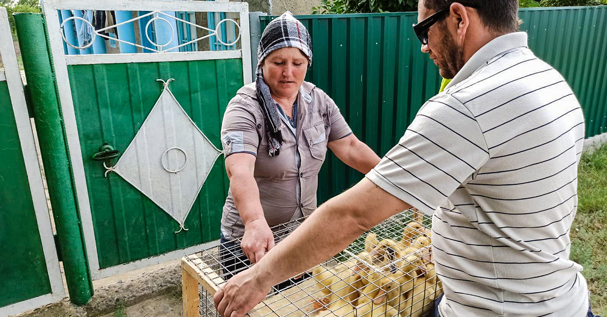 Moldova, Bread of Life, Ducks