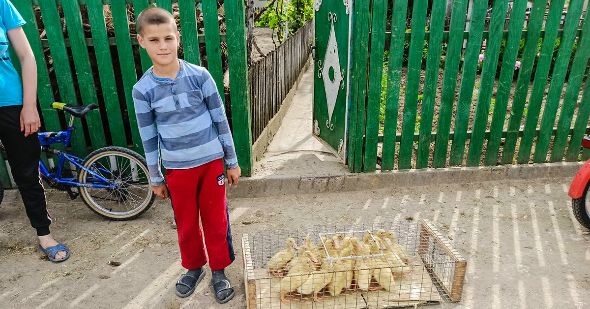Moldova, Bread of Life, Ducks