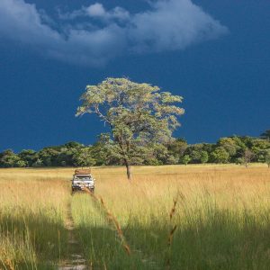 Field Vehicle, johan leach, zambia